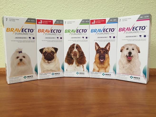 Bravecto is sold here at Pet First Animal Hospital in Bradenton, FL